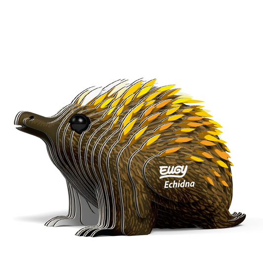 EUGY ECHIDNA