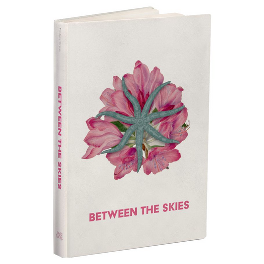 BETWEEN THE SKIES: COLLECTED EDITION