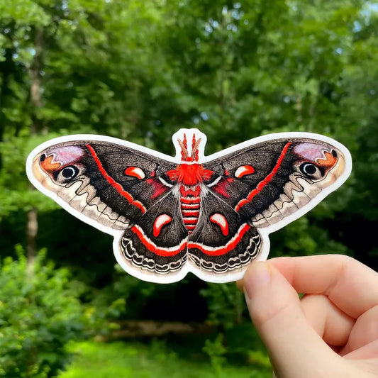 CECROPIA MOTH STICKER