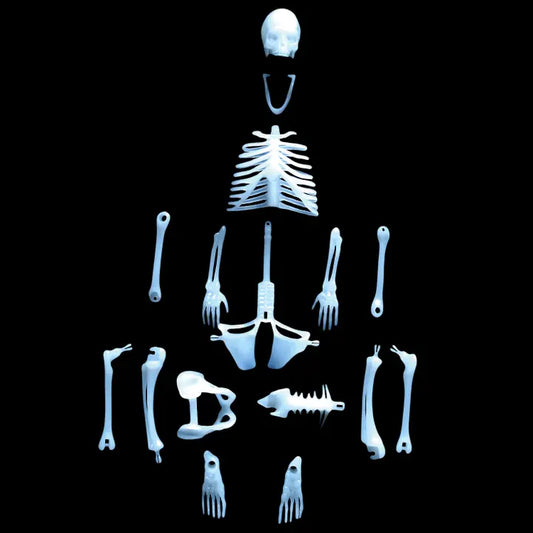 GLOWING 3D HUMAN SKELETON PUZZLE