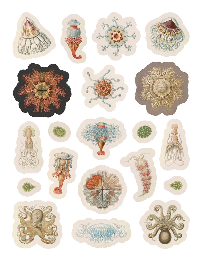 ERNST HAECKEL: ART FORMS IN NATURE STICKER BOOK