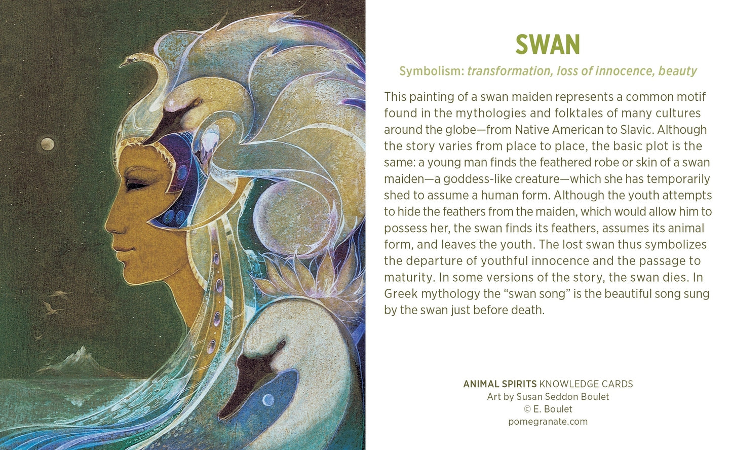 ANIMAL SPIRITS KNOWLEDGE CARDS FEATURING ART BY SUSAN SEDDON BOULET ...