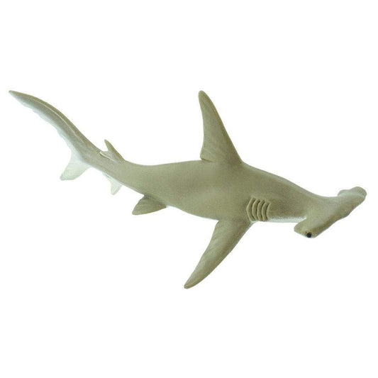 HAMMERHEAD SHARK