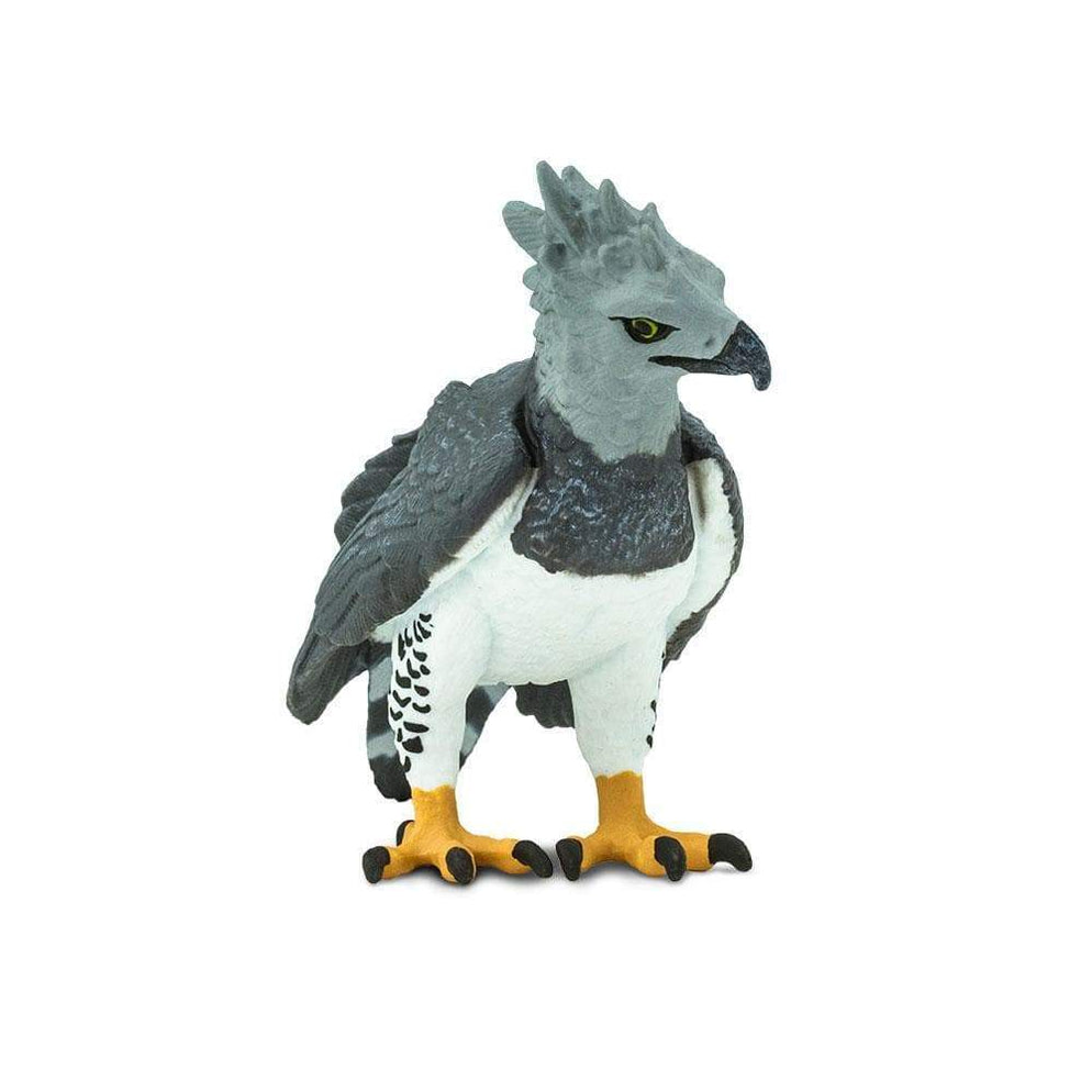 HARPY EAGLE