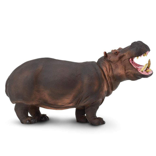 HIPPOPOTAMUS