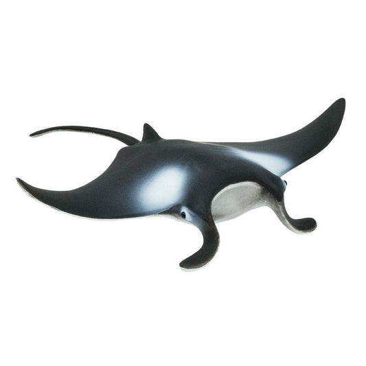 MANTA RAY