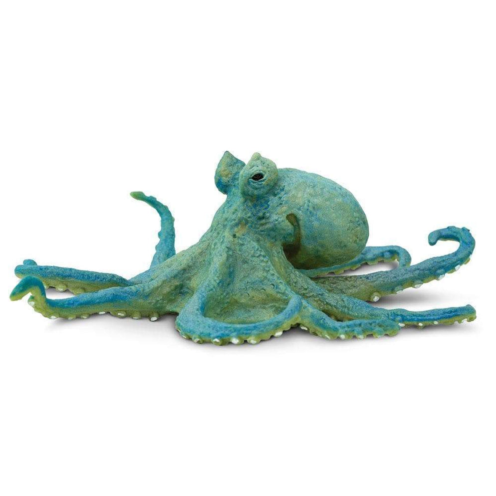 OCTOPUS (SMALL BLUE)