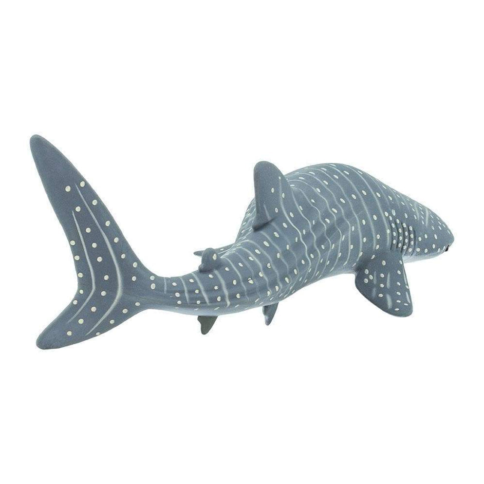 WHALE SHARK