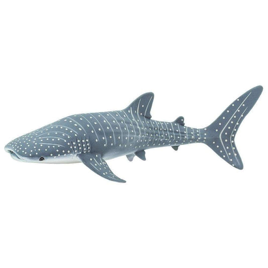 WHALE SHARK