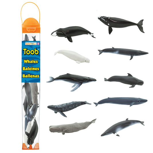 TOOB WHALES